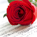 Rose My Valentine 3L-4L pot