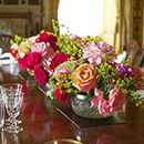 Rose Lady Carnarvon 4L Pot NGW