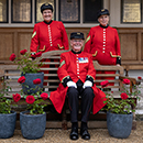 Rose Chelsea pensioner 4L pot C GW