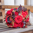 Rose Chelsea pensioner 4L pot C GW