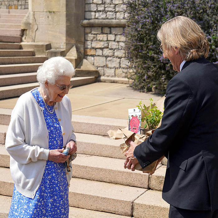 Rose Duke of Edinburgh bare root