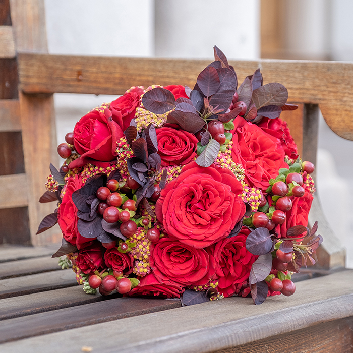 Rose Chelsea pensioner 4L pot C GW