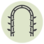 Arches