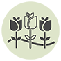 Rose Border